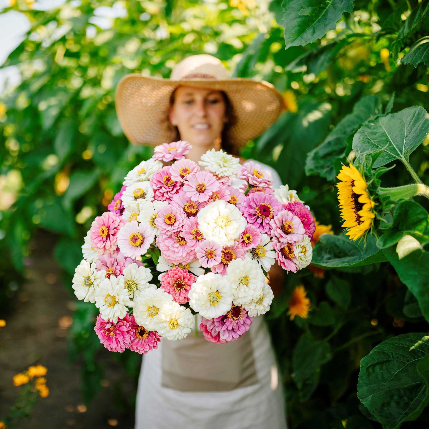 Zinnia Seeds - Isn't This Romantic Mix