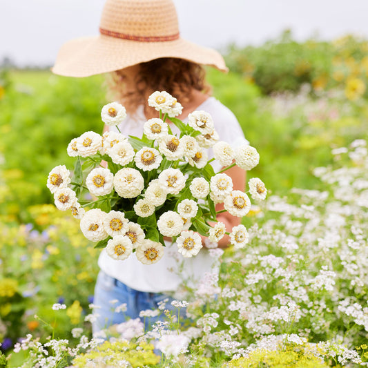 Zinnia Seeds - Lilliput White