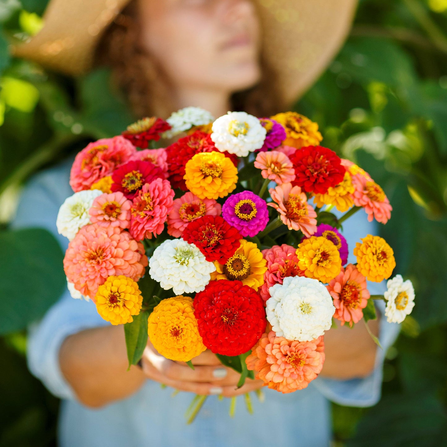 Zinnia Seeds - Pumila / Cut & Come Again