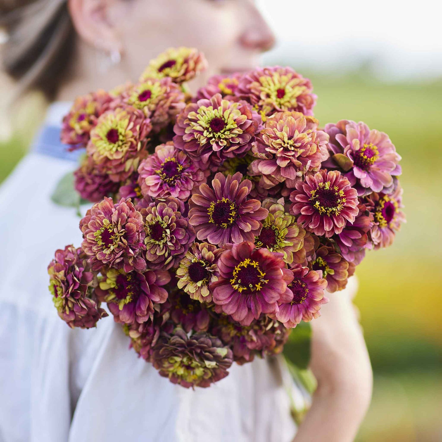 Zinnia Seeds - Queen Lime Red